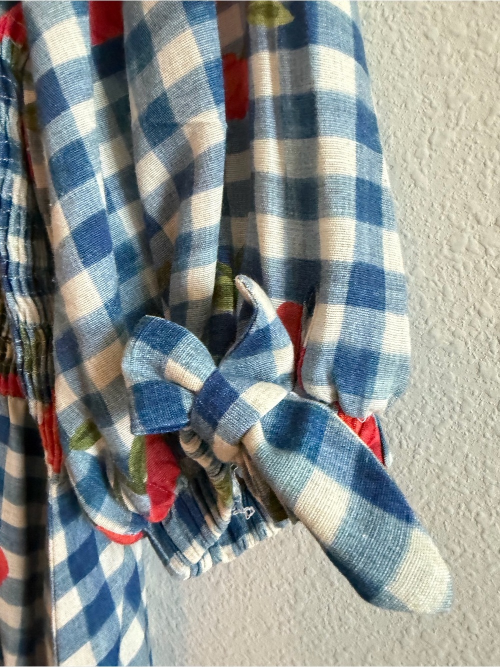 FARM Rio Blue and White Gingham Maxi Dress with Red Floral Accents - Picture 4 of 10